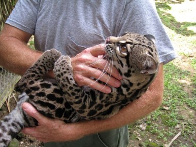 ��� ������ ���� ��������� ������ �����: ����� ����� � ������������ ��������