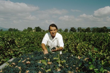 ��� ������ ������� ���������� ��� ����: �������, ��������� �� ������