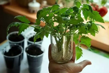 ��� �������� ������ ������ � ������� �������: ��� �������� ������� � ������ ��������