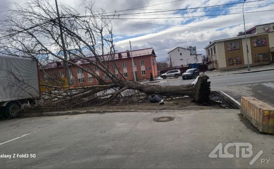 ������� ������� � ������� � ����: ������� ����� �������� �� ����� ������� ��������