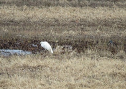 ������� ����������� ����� �������� � ������-��������� � �������� ����� ��������� � �������� �����