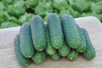 ������ ����������: ��� �������� �������� ����������� � ������������ ������