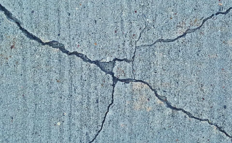 �������� ������ ����� ������ "��������������, �� �� ������"