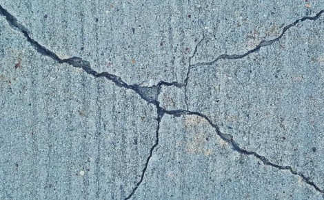 �������� ������ ����� ������ "��������������, �� �� ������"