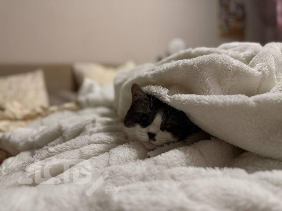 ������� ���� � ��������� �� ����� �������� � ��������� �������������� 14 ������