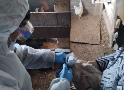 �� �������� �������� �������� ���������� �������� ����� �� ������