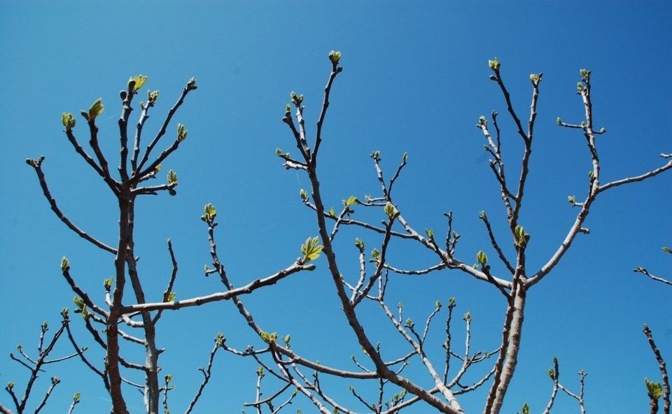 ����� ������������: �� ��� �������� ������ ���������� �� +9 ��������