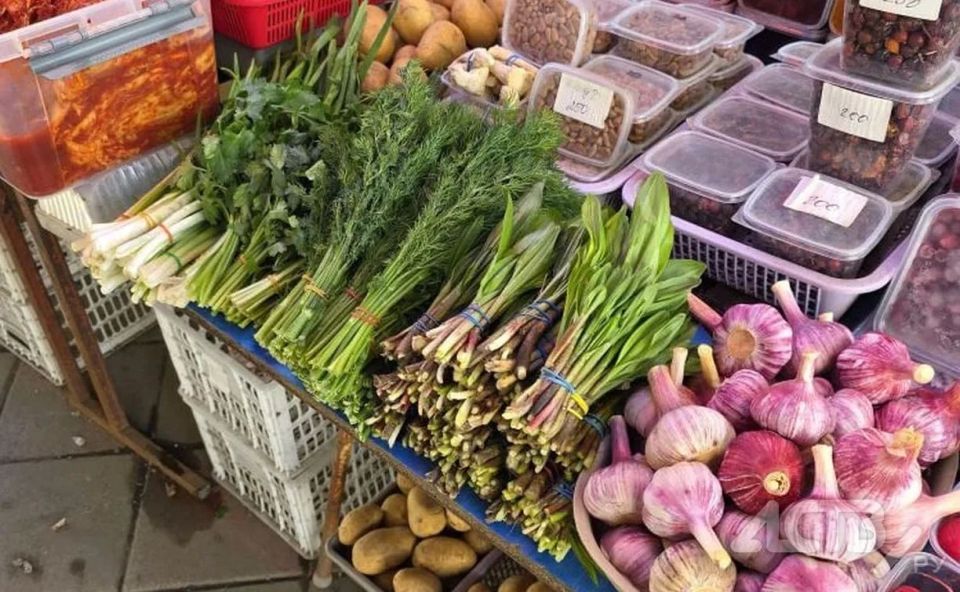 ������ ������� ������ ��������� � ����-����������: ����