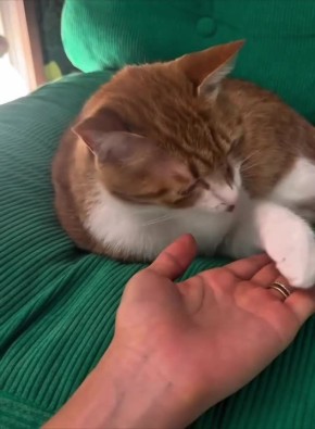 Доброе утро, Сахалин и Курилы