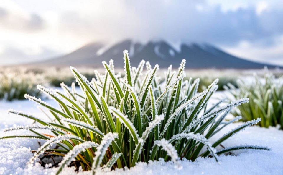 �� �������� ����� ����, � �� ������� - �������: ������� ������ ��� ������� �� 15 ������