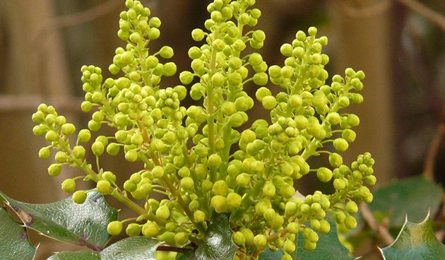 �������: ������ ��������� � ����������� ����� �������� ���������