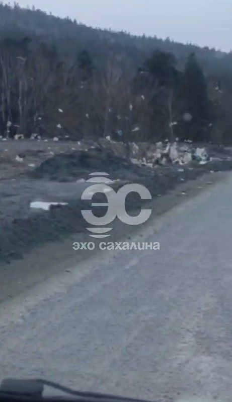 �������� �������: ��� � �������� ����������� ������ � ������� ����� ��������� �������