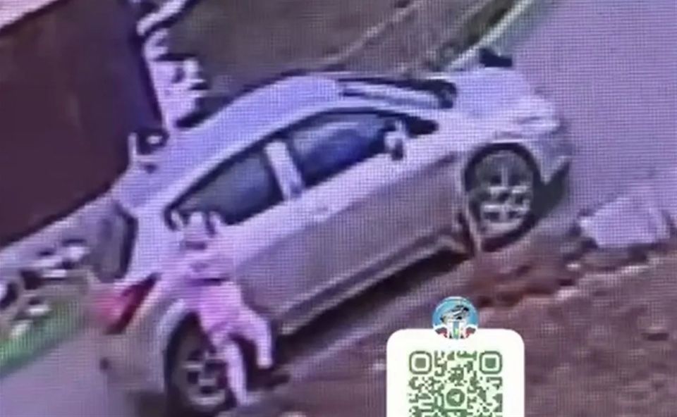 � ������� �������� ���� ������ �� ����������� ������, ������� ������ ������� ��� ������