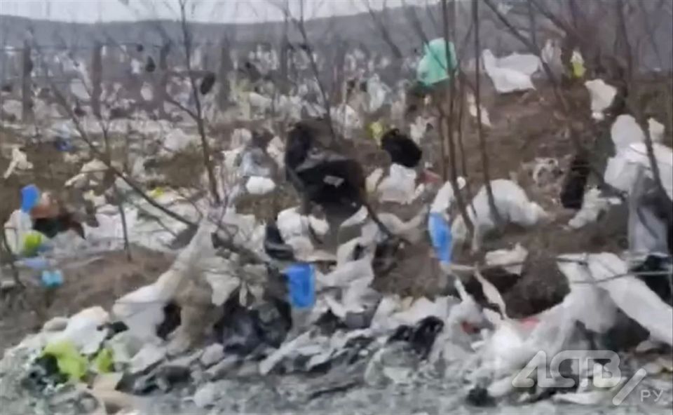 �������� �����������: ��� � �������� ����������� ������ � ������� ����� ��������� �������