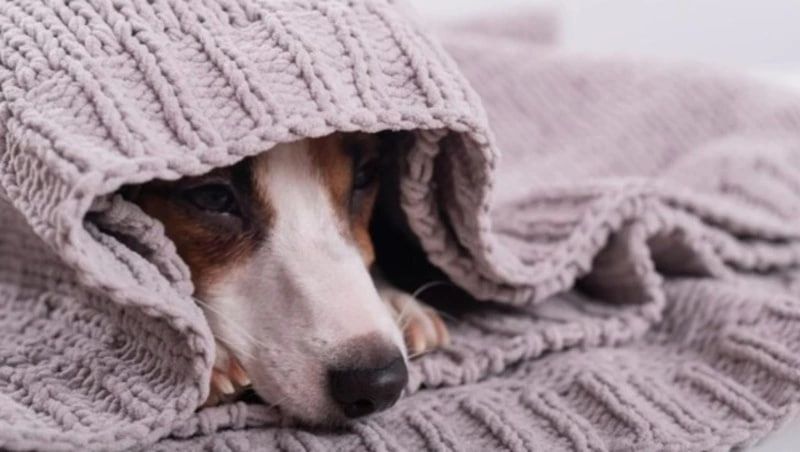 ��������� � ������� ���� �������� �� ���������� ������ ����-���������� 14 ������