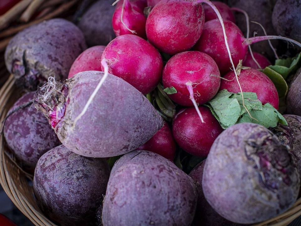 ��� ��������� ��������� ������ �� �����: ��� ������� ������