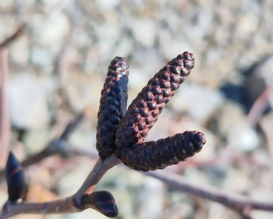 ����� �� ��������. �� ������� ����� ��������� ������������