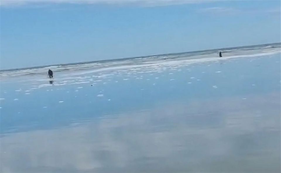 ������ ������: ������ �� ������� ��� ����������, ��������� ������� �� ���������