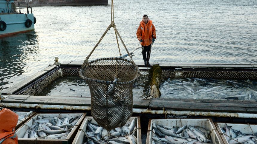 ���� �� ���� � ����: ��� ������ � �������� �������� ��������?