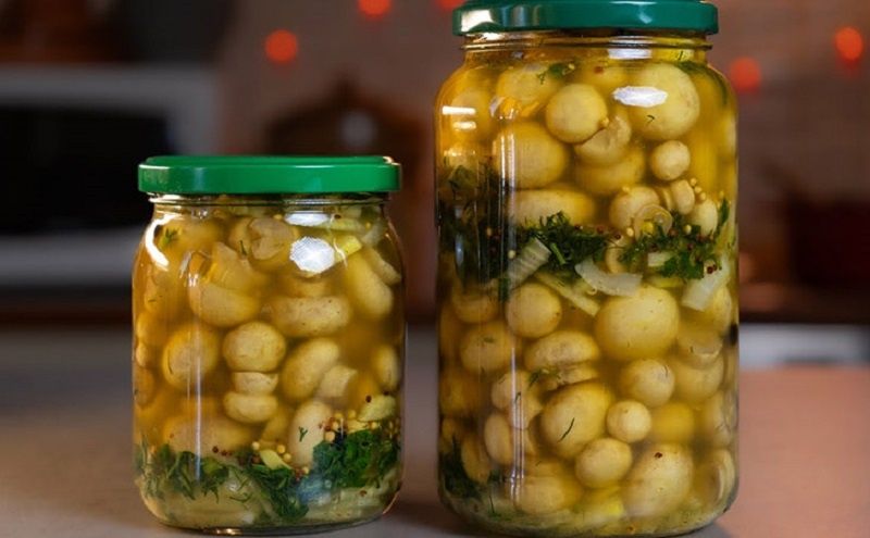 ������ � ������: ������� ������� ����������� ����������� �� ����