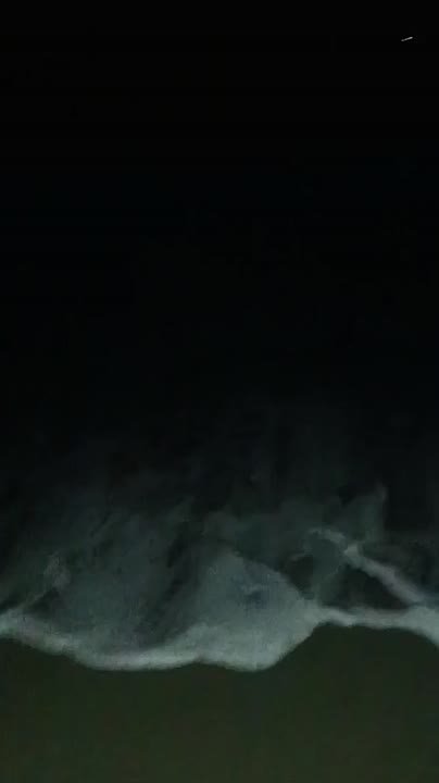 Мойва подошла к западному побережью Сахалина