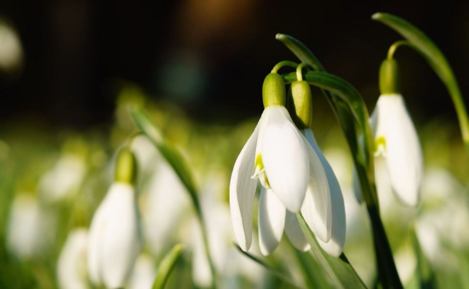 ����� �� +10 �������� ����� �� �� ��������