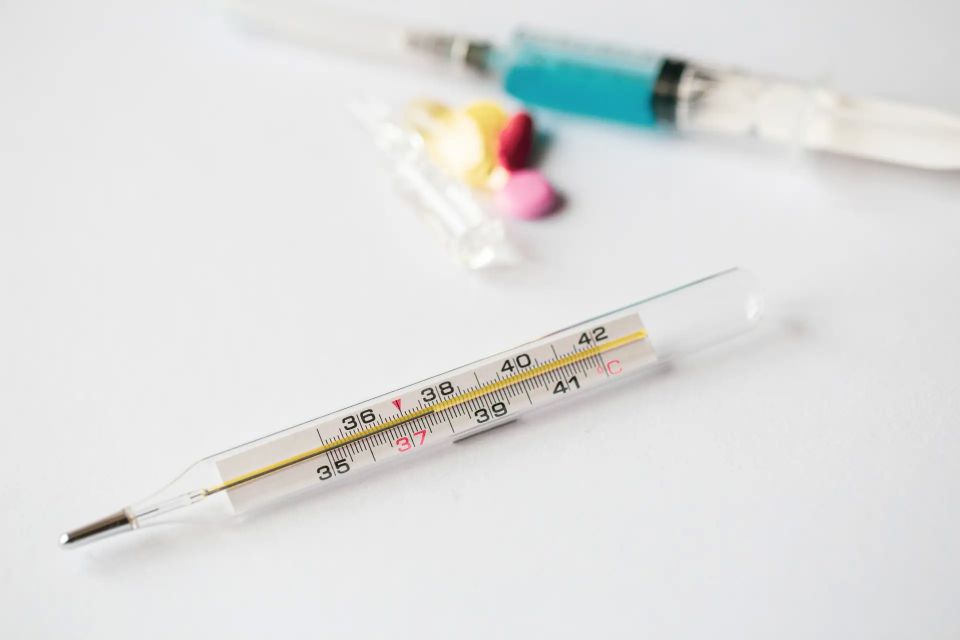 ������ ��������� ������� ��������� � ��� � ��� ������ 20 ���