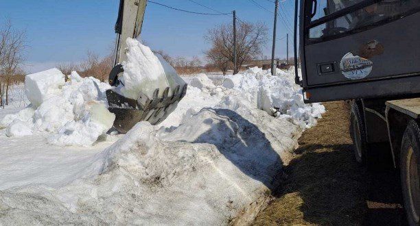 ������� ������, ������ ������: � ��������� ������ ������������ ����������������� �����������