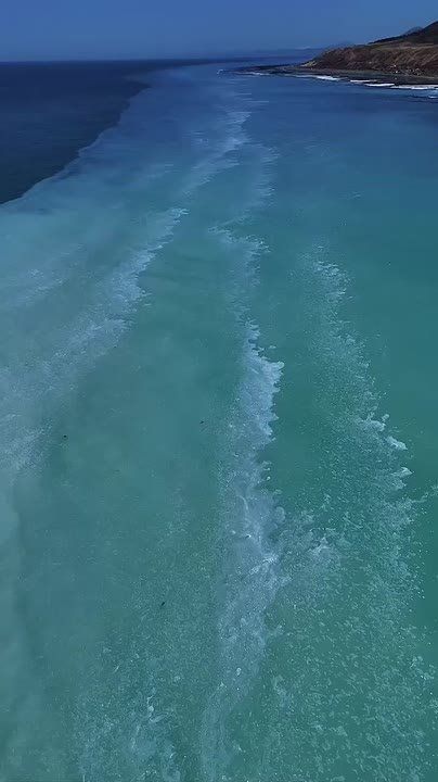 "����������� �������": ����� ������� �� ���������� �� ������ ������� ������ � ��������