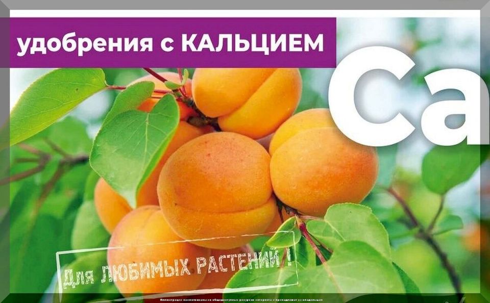 ������� ��� ����: ������� ���������, ������� ������ ������������