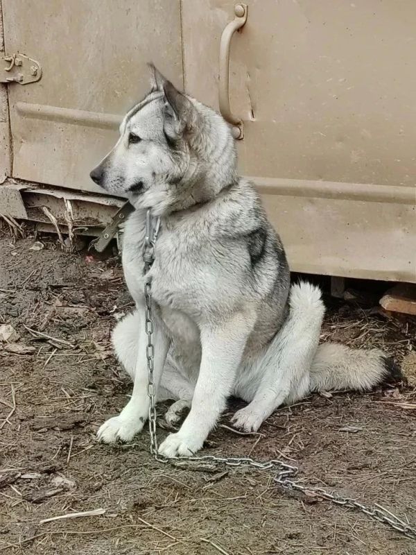 ��������� �������� ��������� ����� ��� ��������� �����