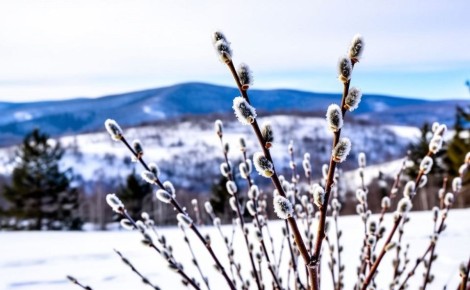 На Сахалине ясно, а на Курилах - снег: прогноз погоды для региона на 17 апреля