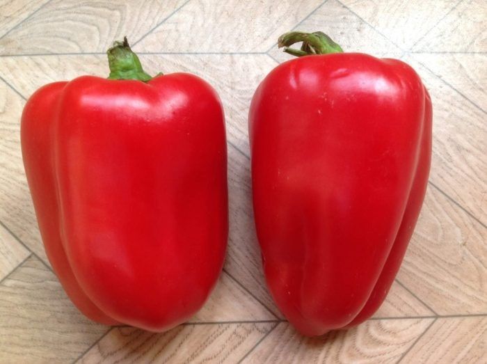 ����� �������: ������ ������� ������ � ������� ������