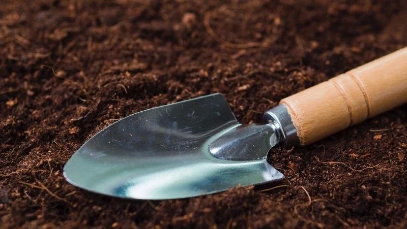 ��������� ����� ������ �� ������� ������� � ���� � ����