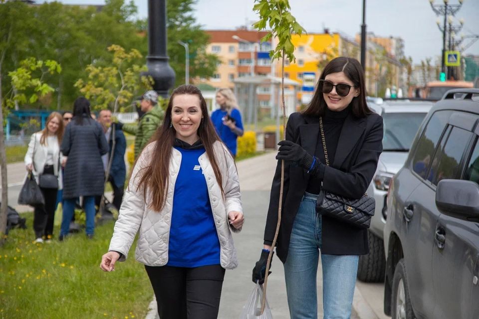 ���������� ���������������� ������� ����� ��� �������