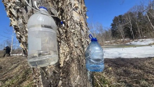 В лес - с бутылкой побольше