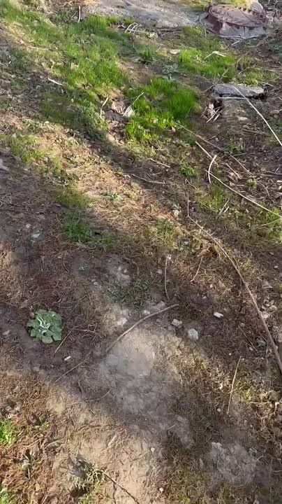 ����� ��������� ���� ����� �� ��������