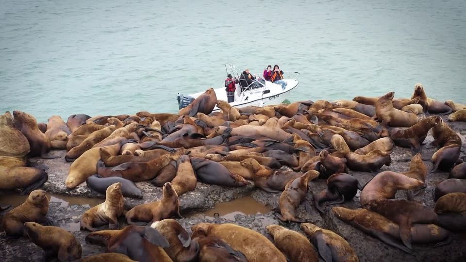 ���������� ������. ������� �������� � ������ � ������, ��������� �� ������ ��������, ����� ���������� �� ������ ��������� � ���������