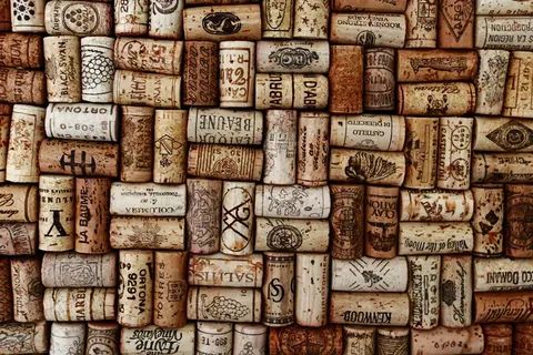 ���������� ���� ��� ������ ������: �� ��������� �� ����������