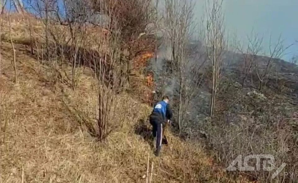 "����� ���������� �� ��������� �������": ��������� ����������� ������ � �������� ������