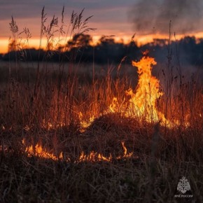 ������ � 2026 ���� ������ ����� ����� ������������� �� ��������