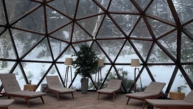 ����� �������� ���� �������� �������� �������� �� ������� � 2028 ����