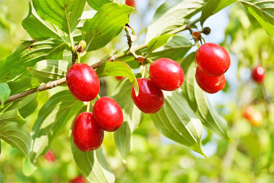 ���������� ������ � ����: ��� ����� ������� � ��������