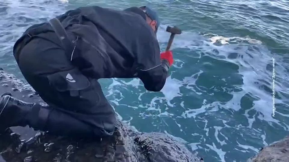 �������� ����������� ����������: ������ �� ����� ���������� �������� �� ������� ������������ ������� ���������������� ���������� ��������������