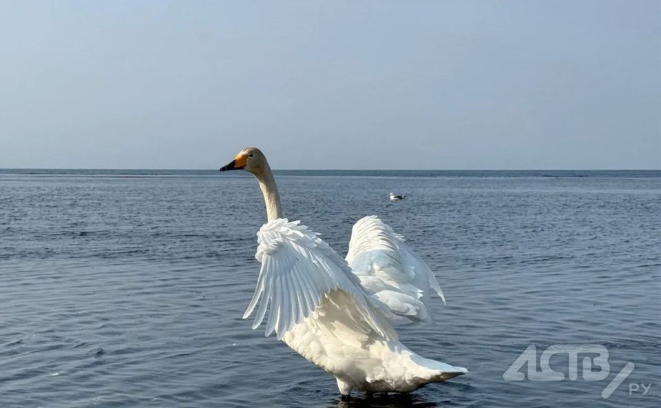 ����������� ��������� �� +13 �������� �� ��� ��������