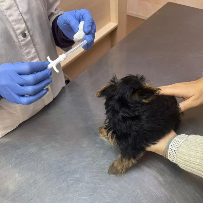 ����� 30 ����� �������� �������� ���������������� �� ��������