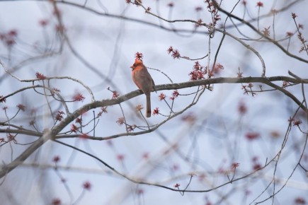 �� �������� �������, � �� ������� - �������: ������� ������ ��� ������� �� 18 ������