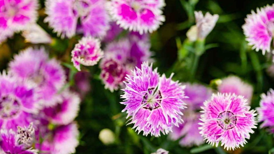 ��� �������� �������� ������������ � ���������� ������ ��� ����� � ���������