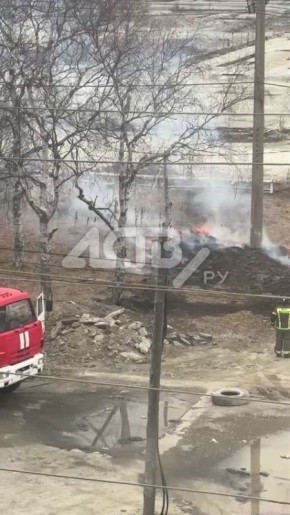 � ����-���������� ���� �������� ����� �����, ������� �������� ������ ���������