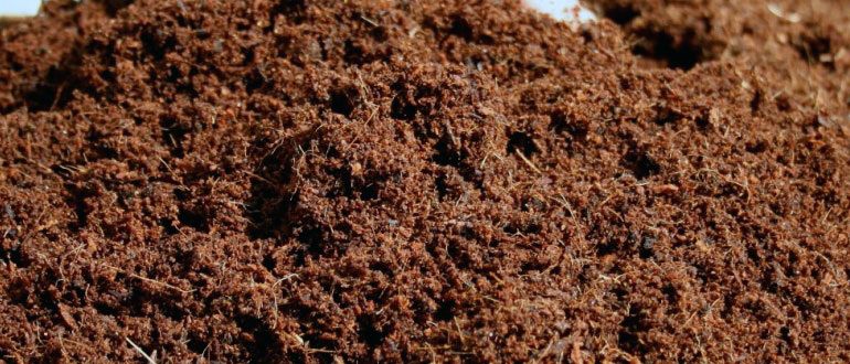 ��� ������� ������ ��������� ��� ������ ����: ������ � �������